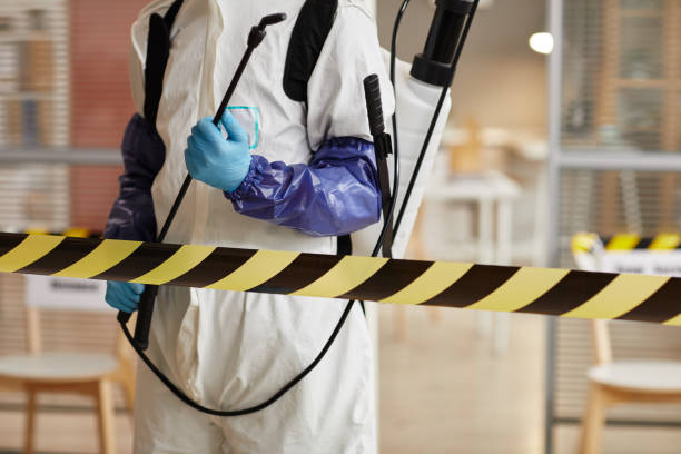 Professional Biohazard technician working in Glen, NH